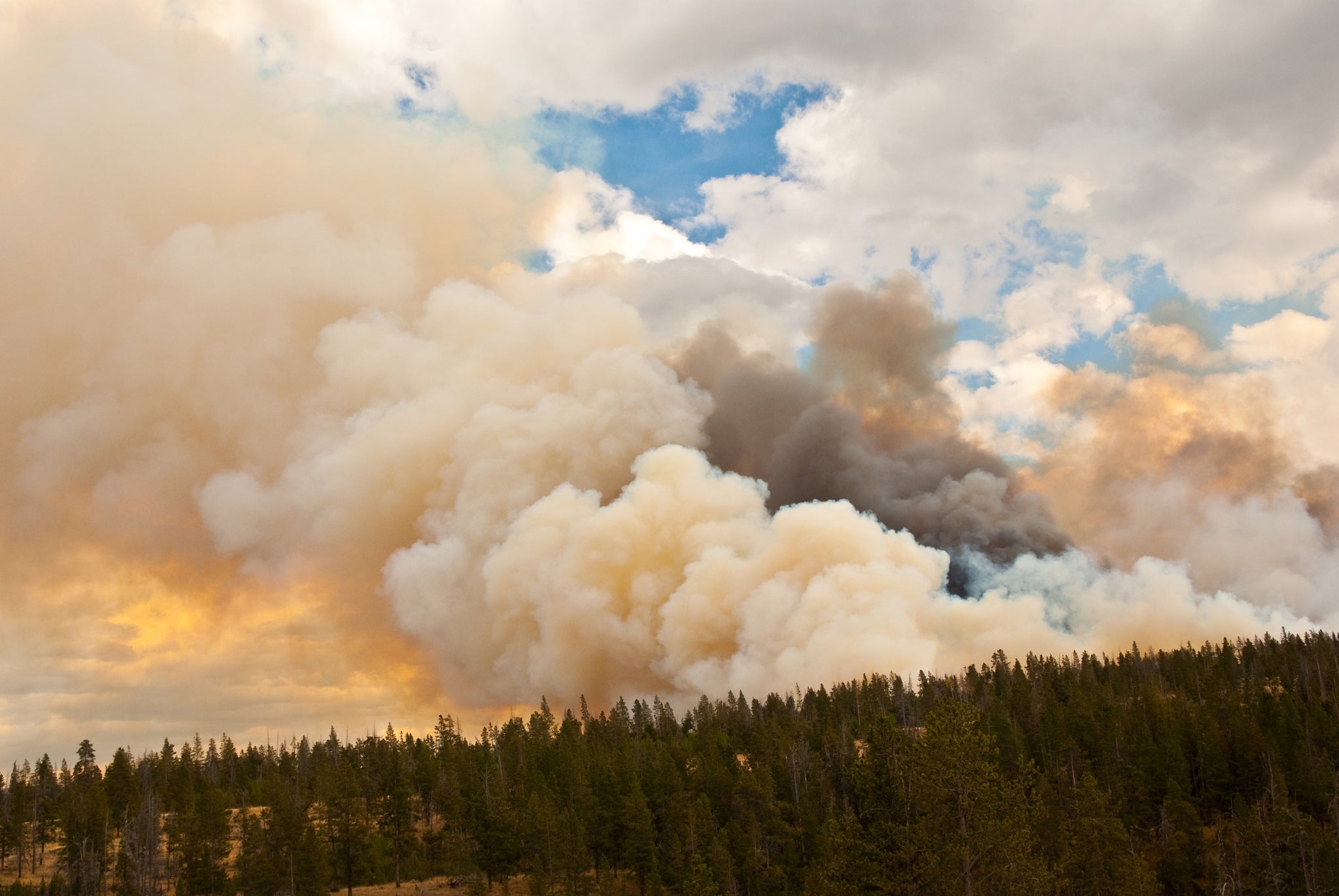 Air Pollution Threat from Wildfires Predicted to Grow